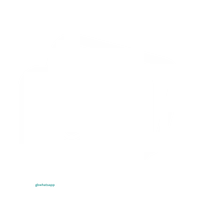 Media Sharing - WhatsApp GB